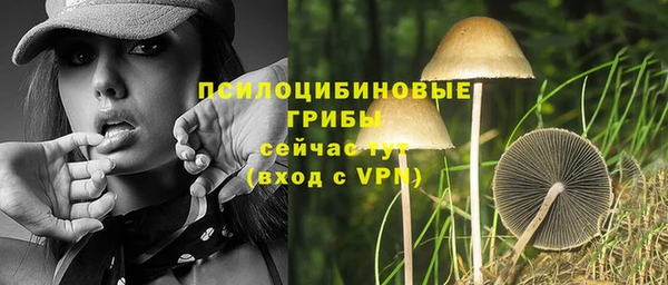 метадон Абаза