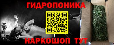 ПСИЛОЦИБИНОВЫЕ ГРИБЫ Шебекино