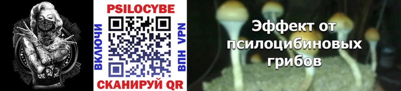 как найти наркотики Россошь Псилоцибиновые грибы Cubensis