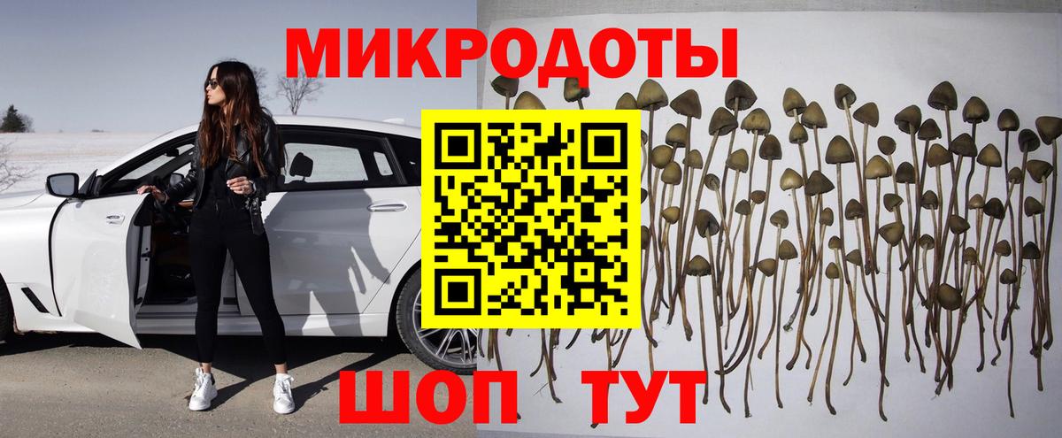 Псилоцибиновые грибы мухоморы  Вход с VPN  Россошь  Псилоцибиновые грибы Psilocybe 